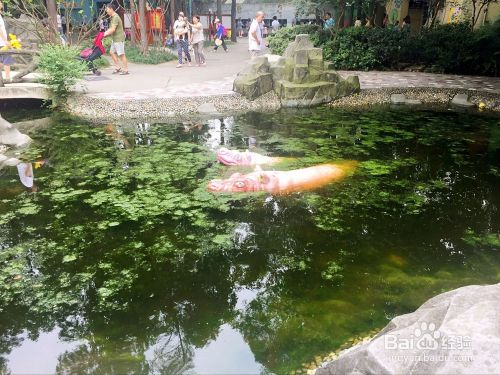 四川成都动物园中的儿童动物园旅游攻略（2016）