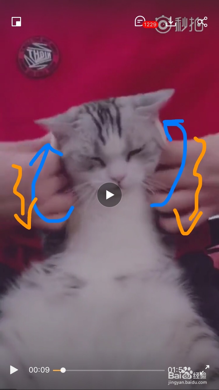 海草舞舞蹈教程分解动作