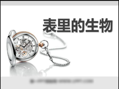 小学课文-表里的生物 有谁知道小学课文《表里的生物》,我想要这篇文章.我先谢谢了!