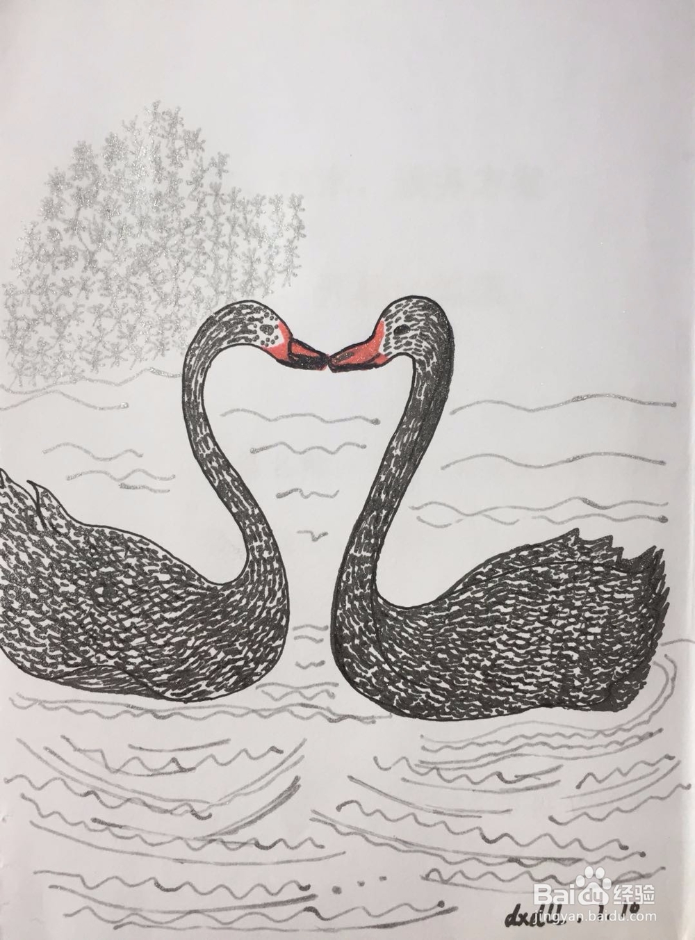 dxdll手绘之黑天鹅