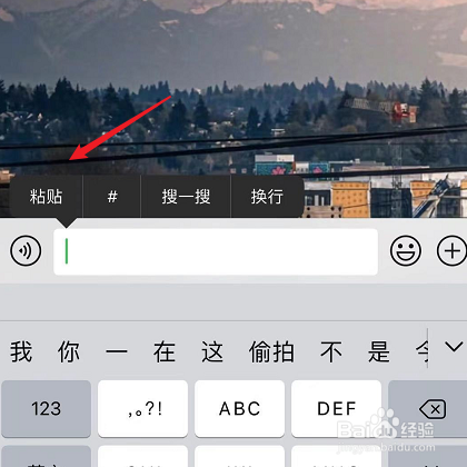 苹果剪贴板怎么弄出来