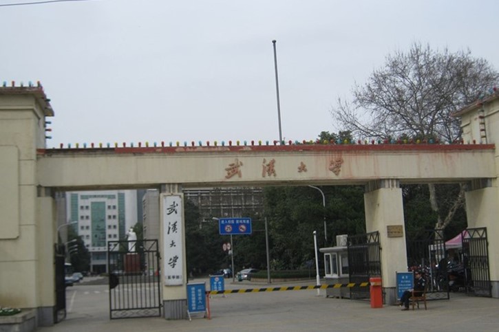 湖北有哪几所高校是985'211