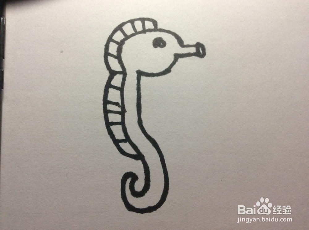 怎么画海马?海马那些简笔画怎么画呢?