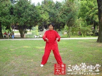杨式太极拳拳谱 行云流水优雅放松