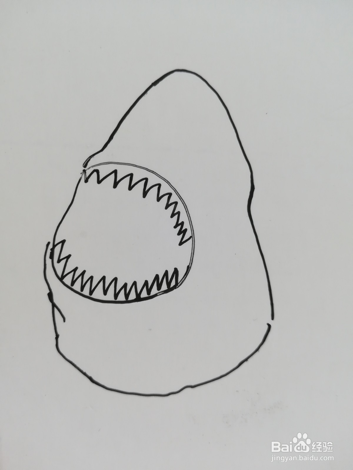三头鲨怎么画出来的图片