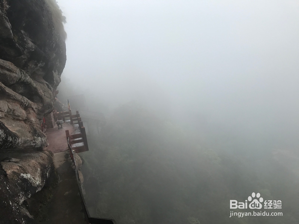 自驾游览武夷山，风景秀丽让人流连忘返！
