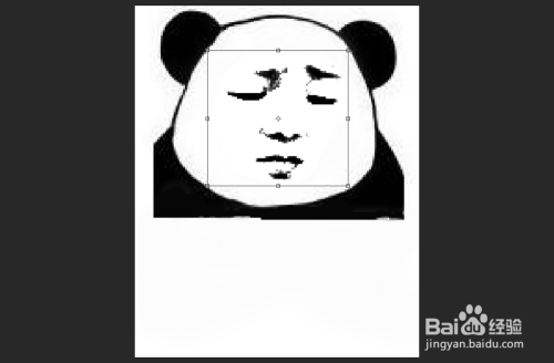 PS制作黑白熊猫表情包（简易版）