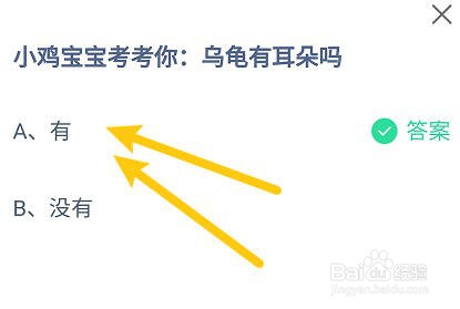 乌龟有耳朵吗