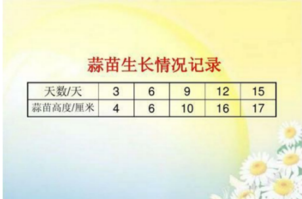 蒜苗的生长过程应该怎么记录