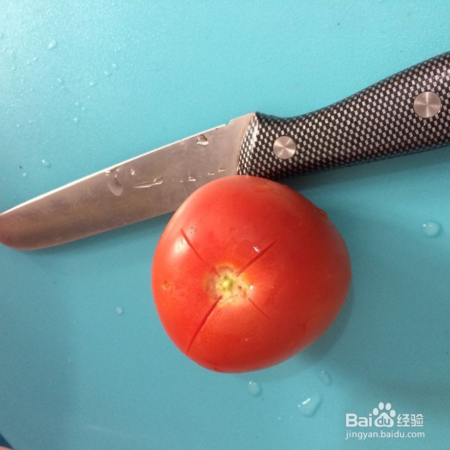 西红柿鸡蛋炒虾仁