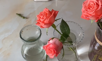 鲜花蔫了怎么快速急救