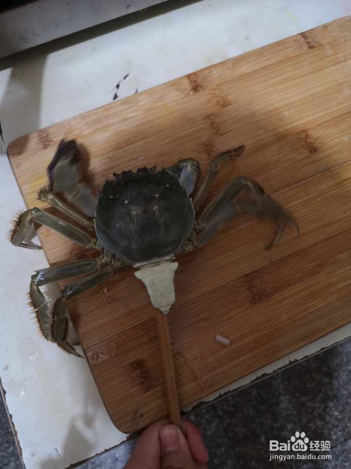 吃光光的大闸蟹炒年糕