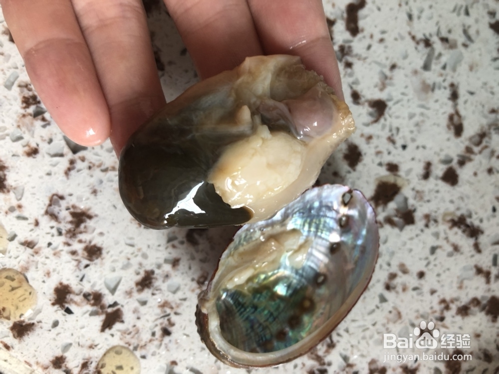 我给姐姐做鲍鱼