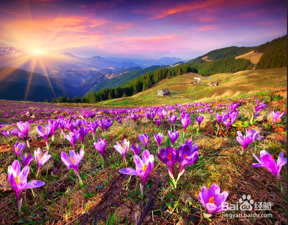 PS如何把普通照片变为油画效果？