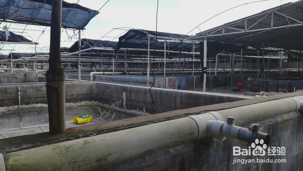 虾池漆|养虾池漆-工厂化水产养殖专用施工规范