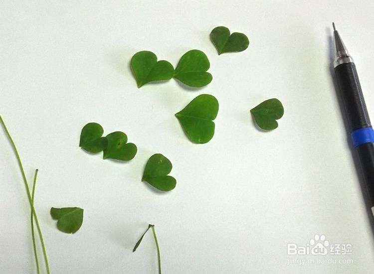叶子创意画---趣味手工制作