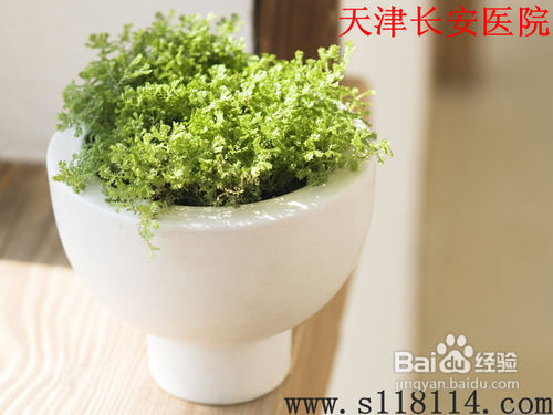 专业医生诊断多动症心理疗法