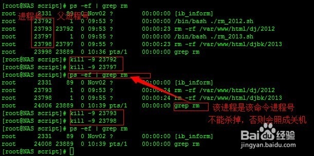 Linux nohup后台运行程序