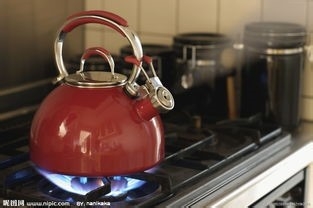 如何让身体获得高品质的水