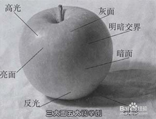 怎么才能学好素描？