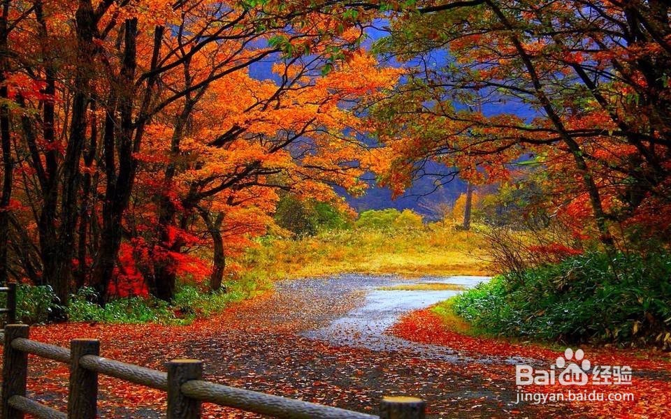 什么季节治疗汗管瘤效果最好?