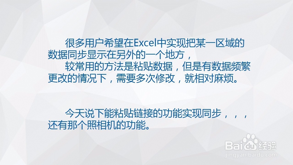 Excel中的照相机