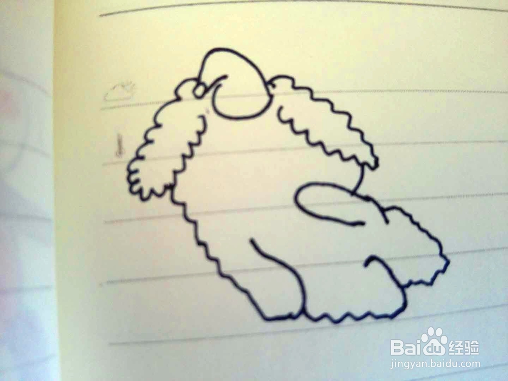 小绵羊的简笔画画法