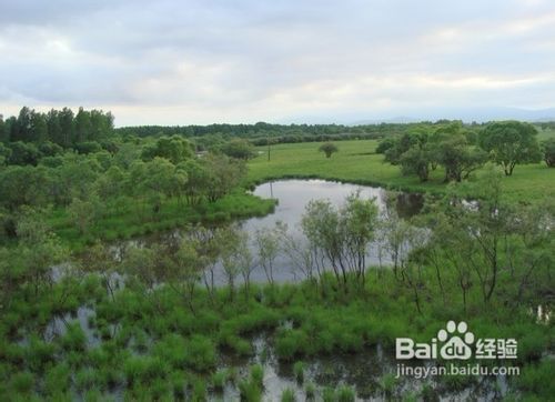 怎样寻找合适的避雨场所