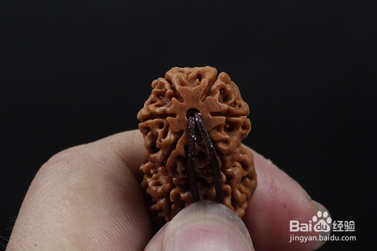 金刚菩提子开裂及补救方法 ，快来学学吧！