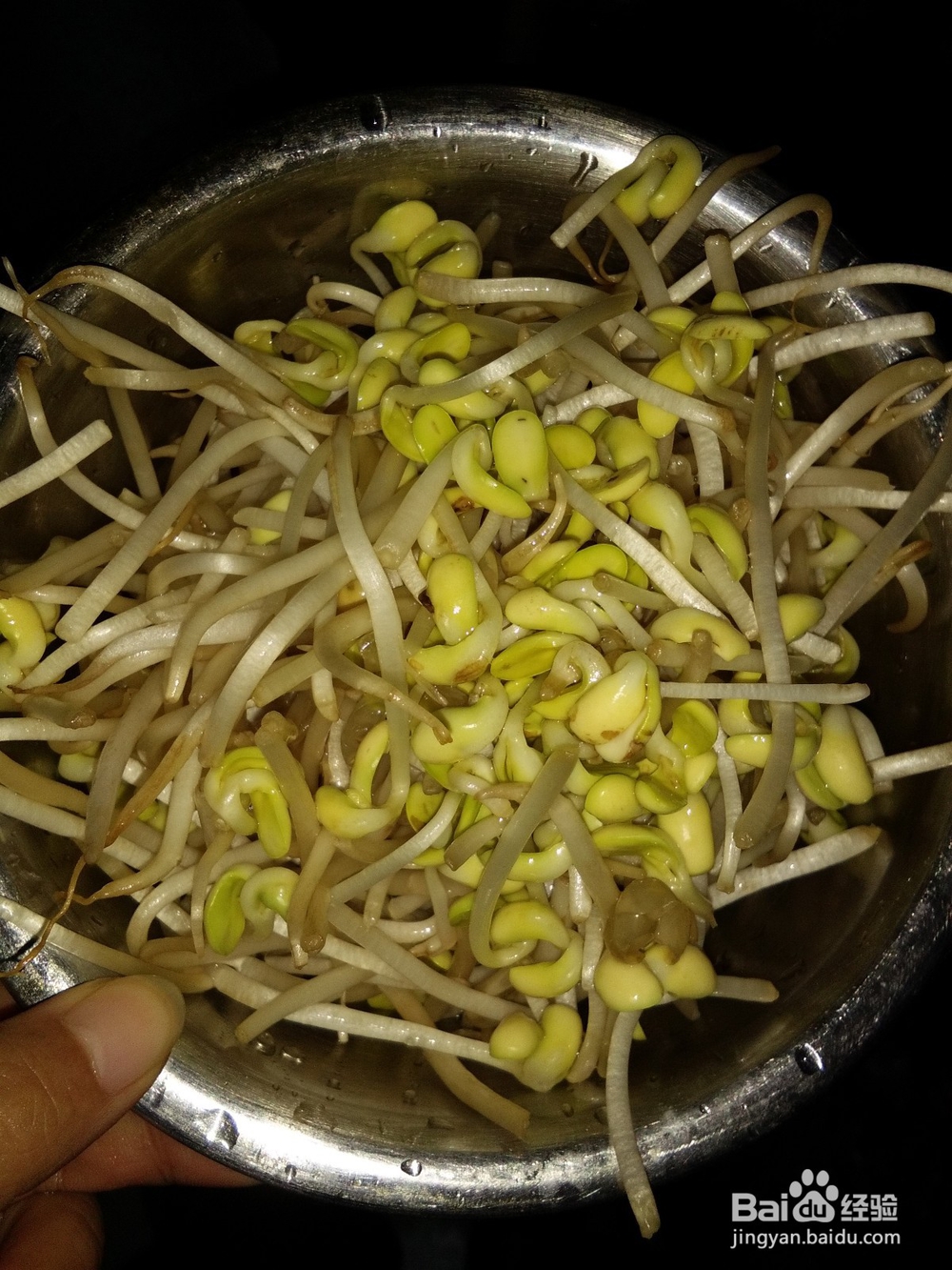 蒜油炝拌韭菜黄豆芽