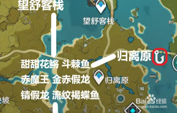 原神金赤假龙鱼如何快速刷新