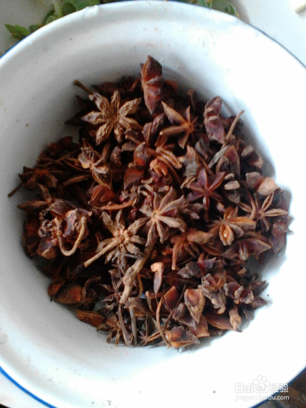 猪肉粉条炖白菜