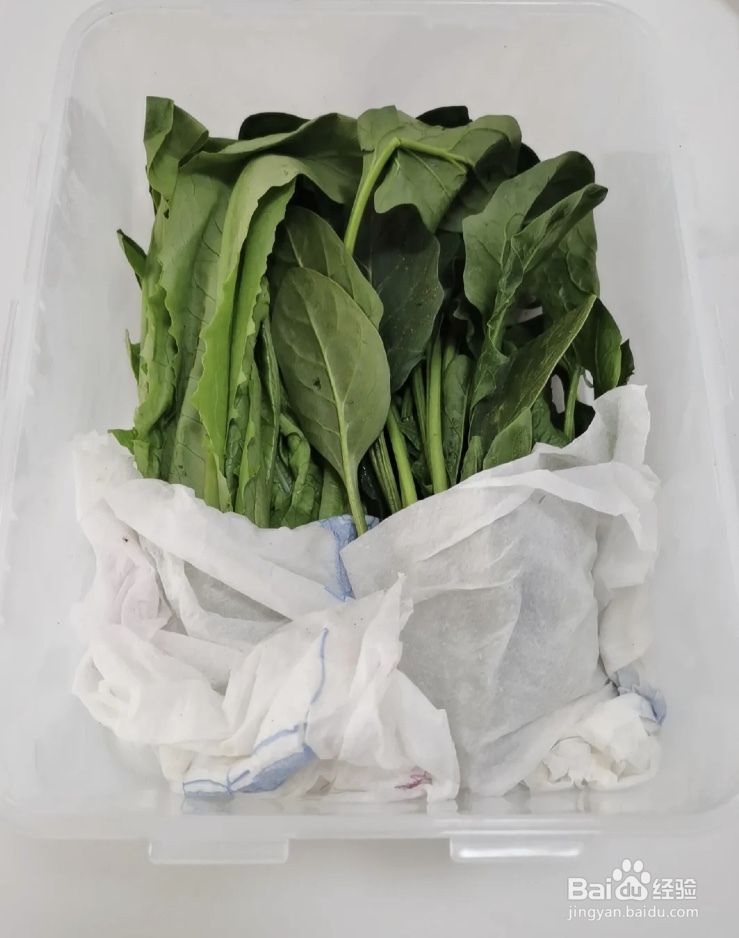 油麦菜怎么保存