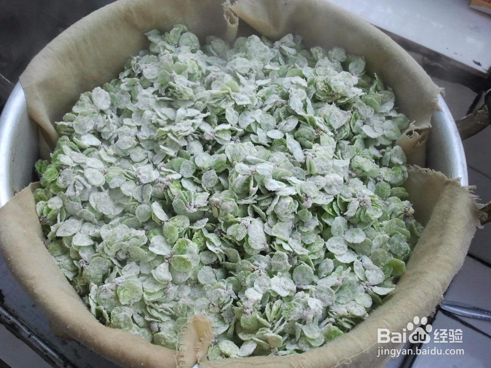 在农村你会做蒸榆钱吗，看图学做一定很好吃