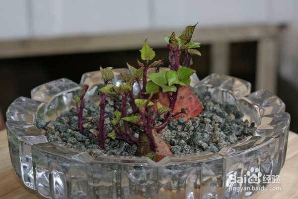 怎么才能把烟彻底戒掉