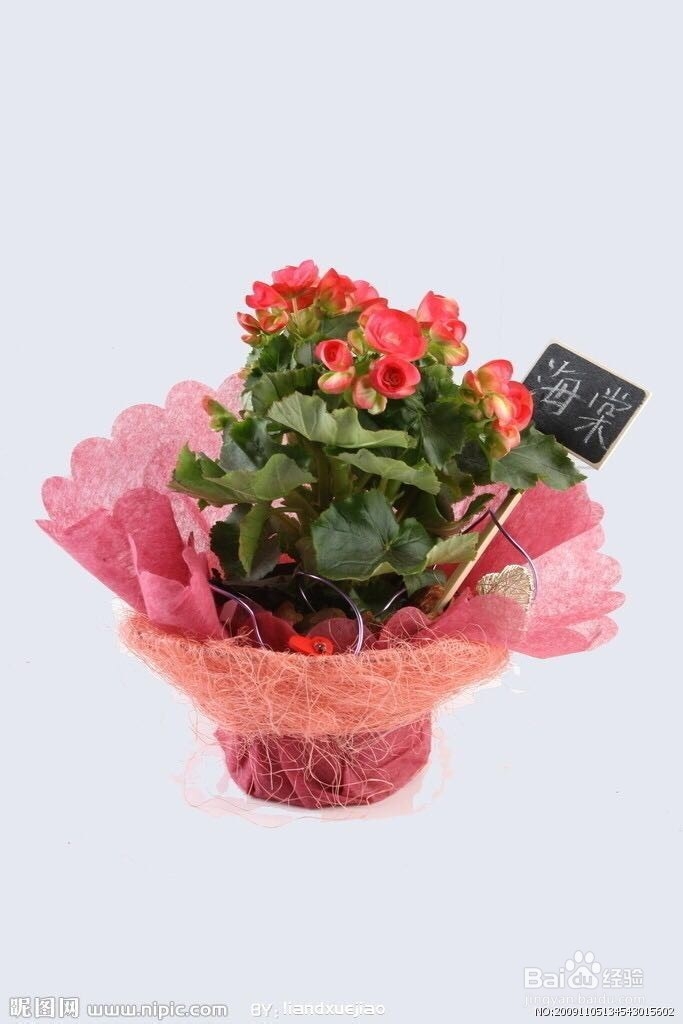 暑假社会实践ppt