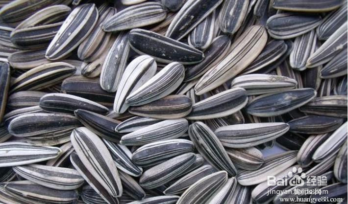 叫花鸡瓜子分享吃瓜子的好处与坏处