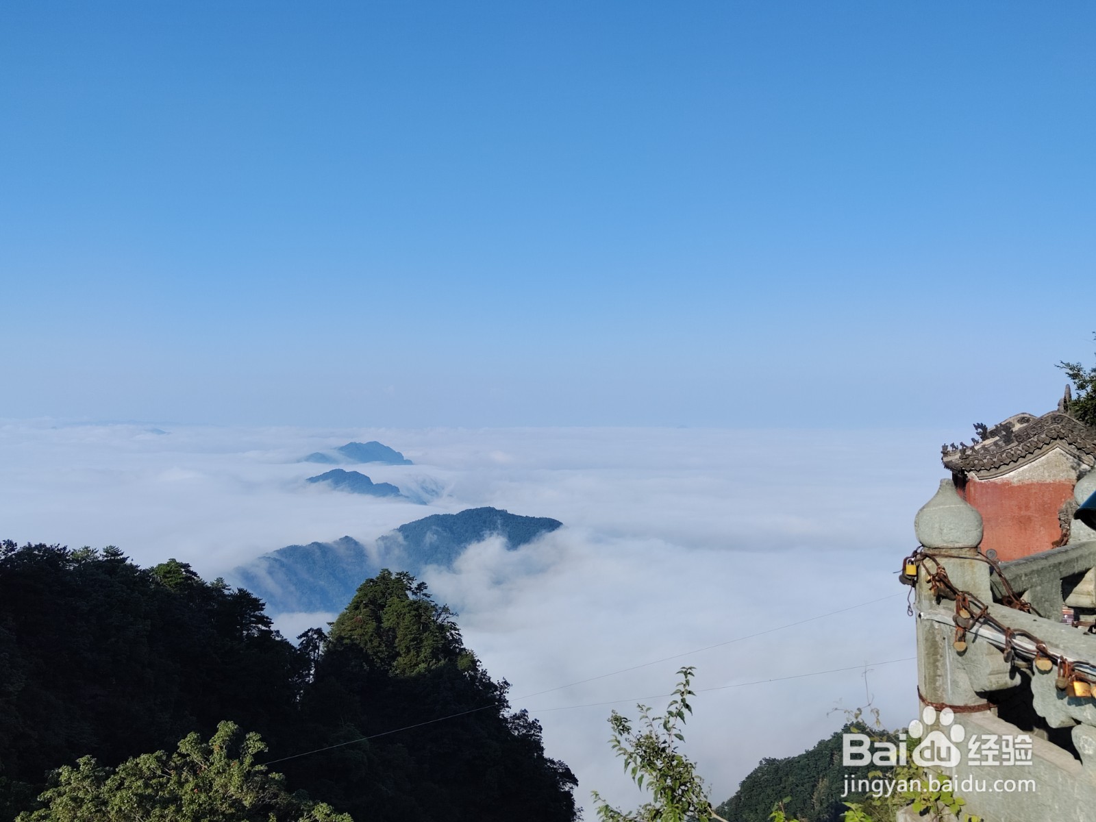 图片壁纸手机壁纸