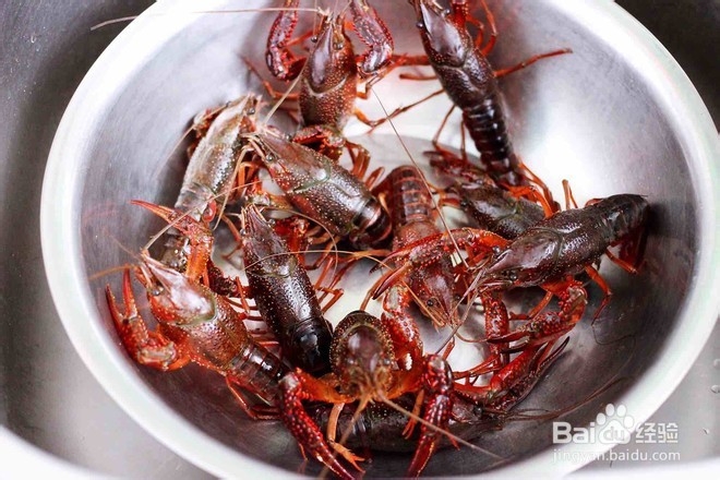 麻辣小龙虾怎么做