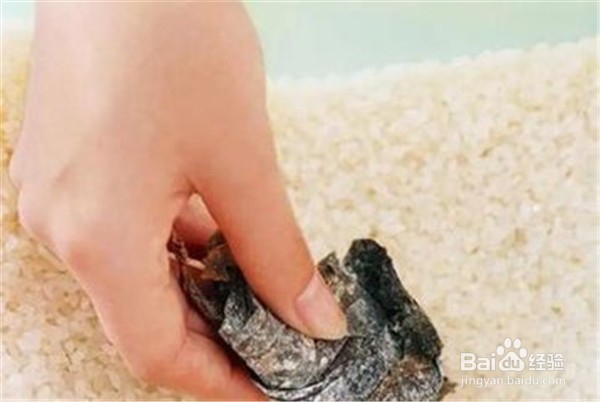 家中如何保存大米?