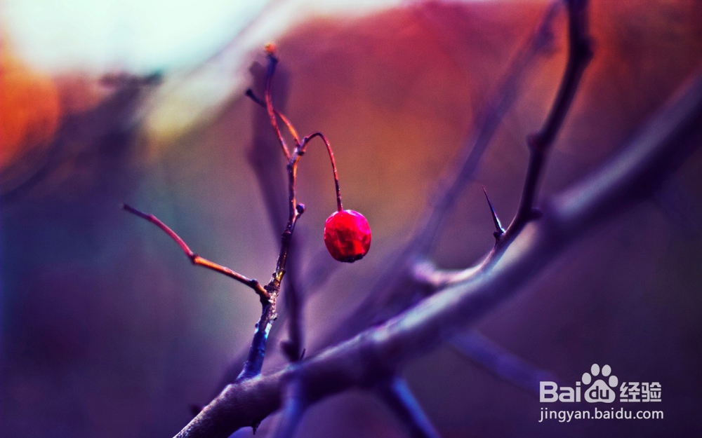 读皮亚杰关于德育培养感悟