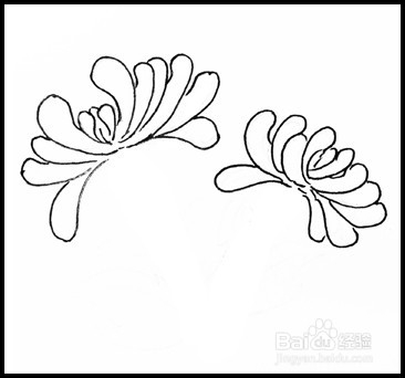 怎样画简笔画（花卉）：[9]菊花2