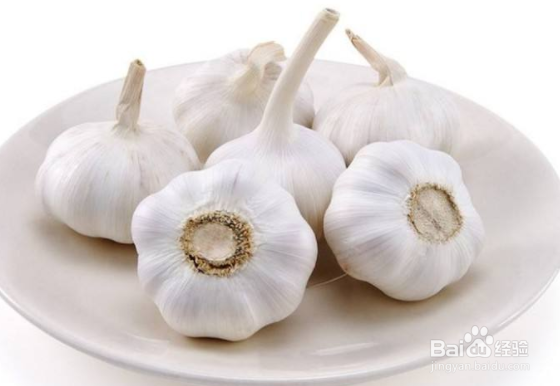 哪些食物有助于提高免疫力