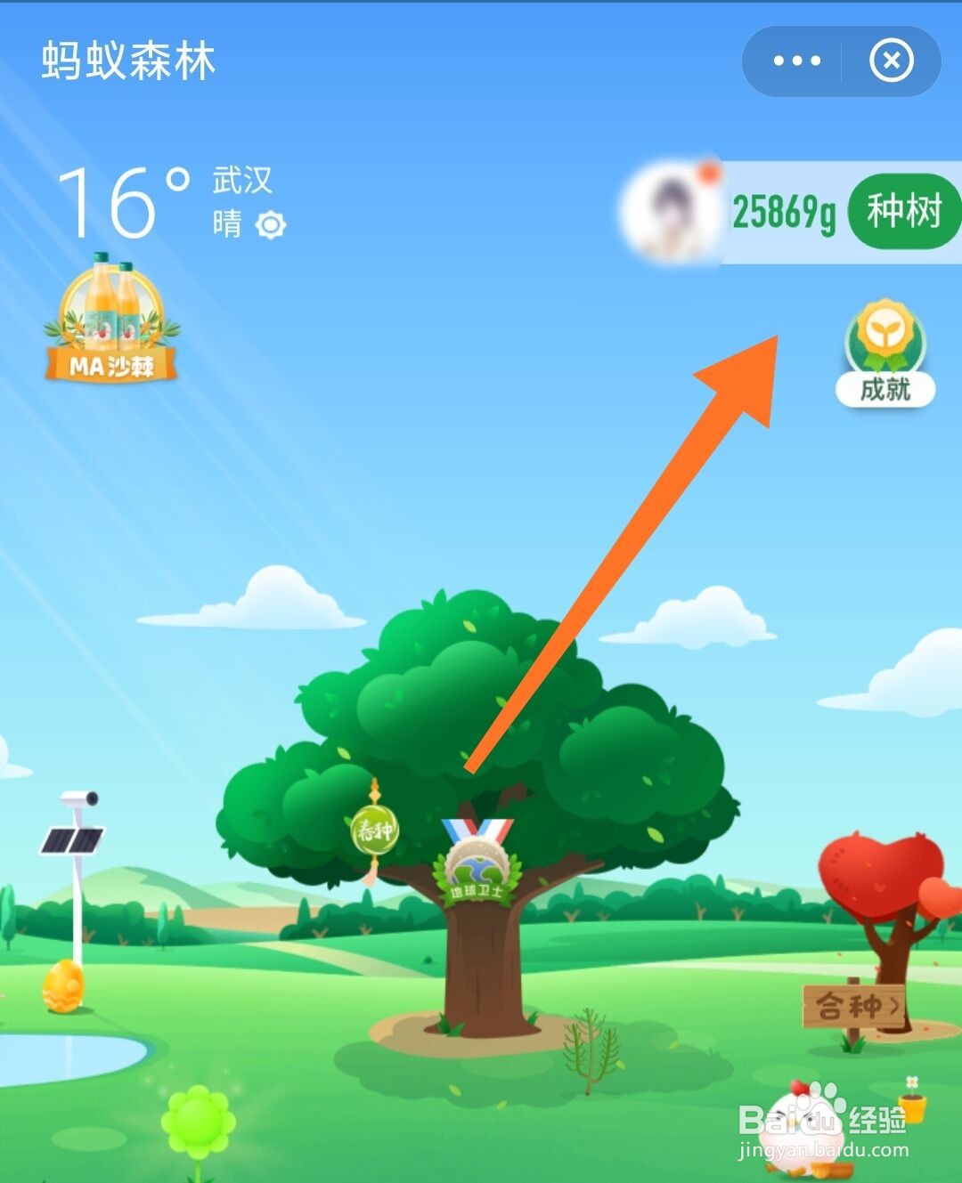 蚂蚁森林怎么种树