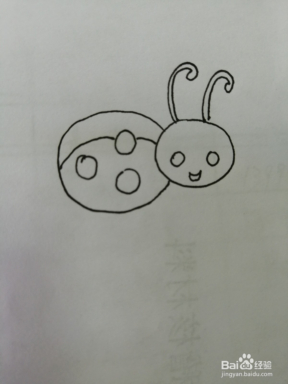 可爱的瓢虫怎么画
