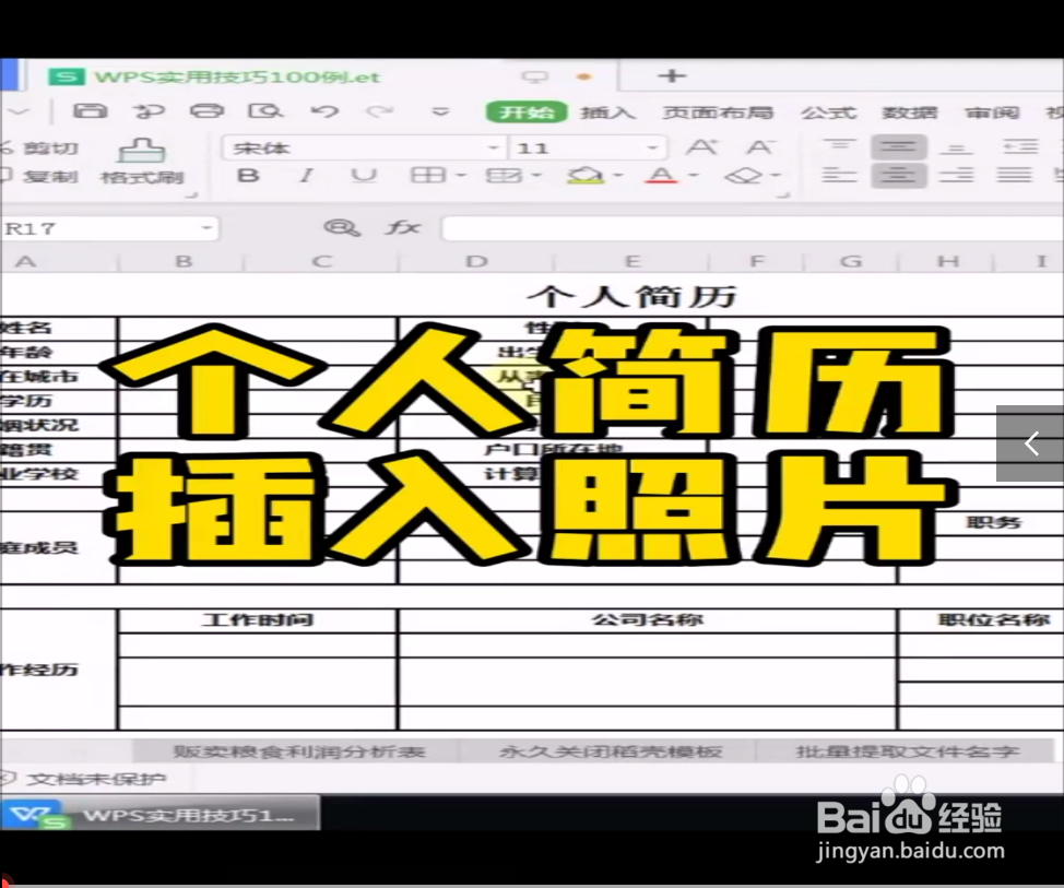 个人简历如何快速插入图片？