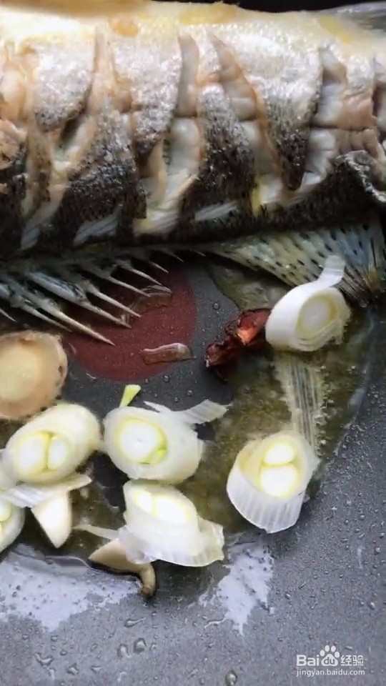 红烧海鲈鱼教程