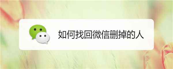 如何找回微信删掉的人