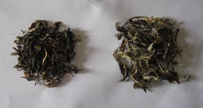 如何才能买到好的茶叶