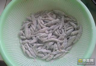 油炸高原小河鱼